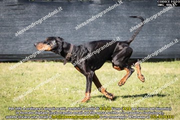 IMG_4863.jpg