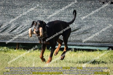 IMG_4869.jpg