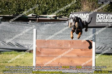 IMG_4870.jpg