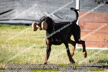 IMG_4873.jpg