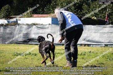 IMG_4876.jpg