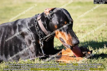 IMG_4881.jpg