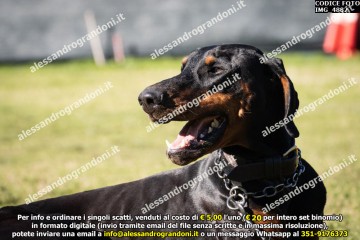 IMG_4882.jpg