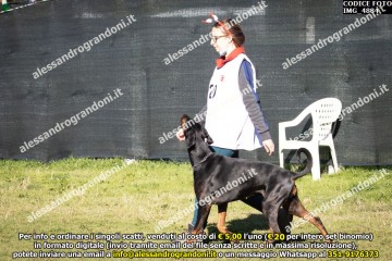 IMG_4884.jpg