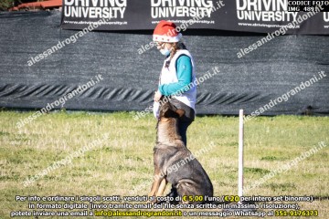 IMG_4891.jpg