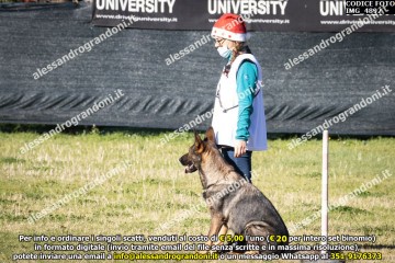 IMG_4892.jpg