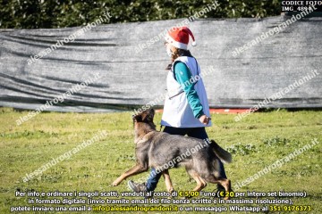 IMG_4894.jpg