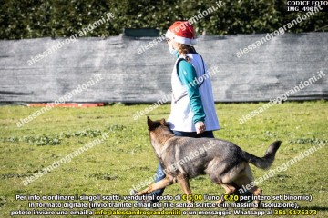 IMG_4901.jpg