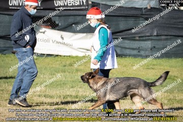 IMG_4905.jpg
