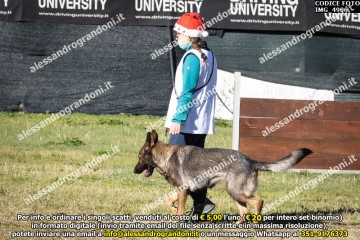 IMG_4906.jpg