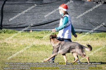IMG_4907.jpg