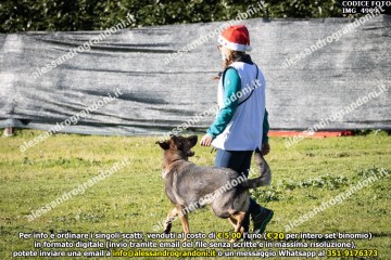 IMG_4909.jpg