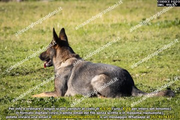 IMG_4911.jpg
