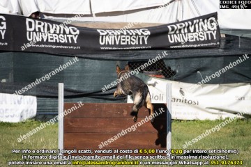 IMG_4915.jpg