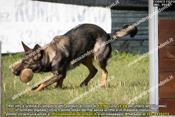 IMG_4918.jpg