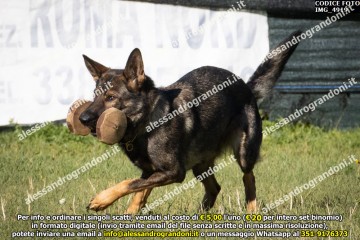 IMG_4919.jpg