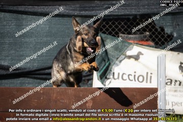 IMG_4922.jpg