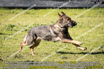 IMG_4941.jpg