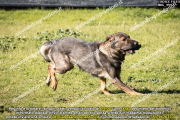 IMG_4942.jpg