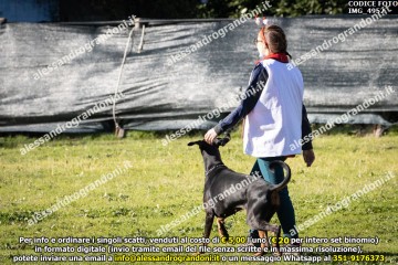 IMG_4952.jpg