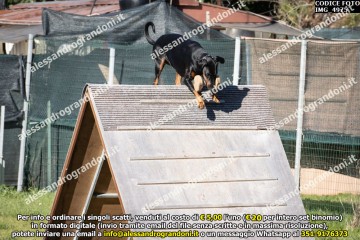 IMG_4975.jpg
