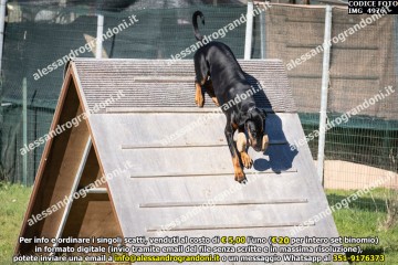 IMG_4976.jpg