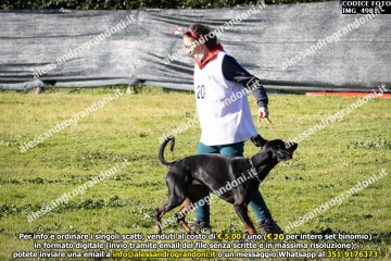 IMG_4981.jpg