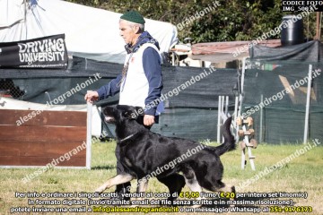 IMG_5003.jpg