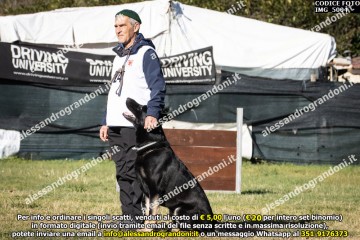 IMG_5004.jpg