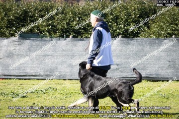 IMG_5006.jpg
