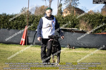 IMG_5009.jpg