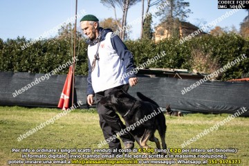 IMG_5010.jpg