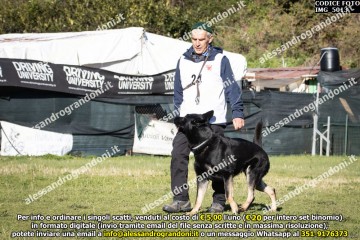 IMG_5013.jpg