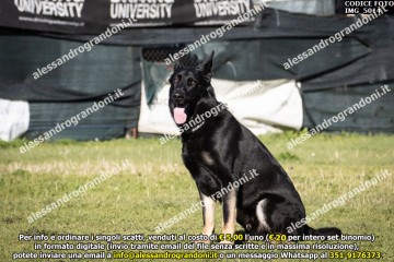 IMG_5014.jpg