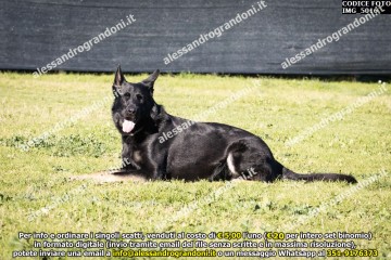 IMG_5016.jpg