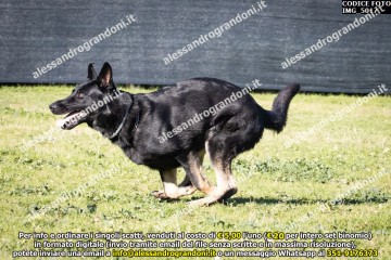 IMG_5017.jpg