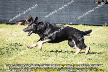 IMG_5018.jpg