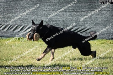 IMG_5026.jpg