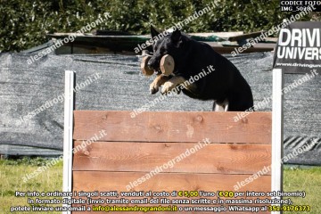 IMG_5028.jpg