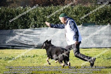 IMG_5038.jpg