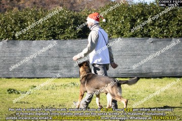 IMG_5043.jpg