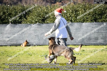 IMG_5044.jpg