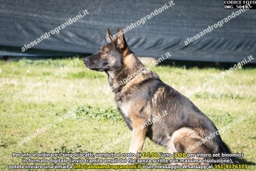 IMG_5049.jpg