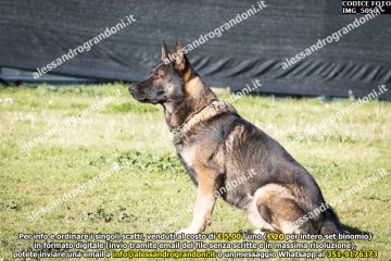 IMG_5050.jpg