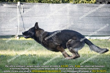 IMG_5053.jpg