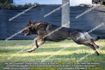 IMG_5058.jpg