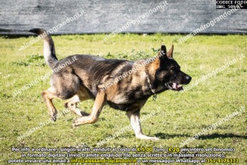 IMG_5059.jpg
