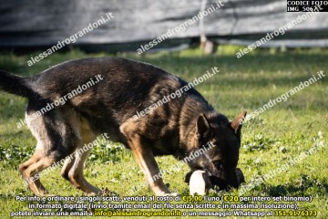 IMG_5067.jpg