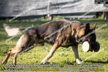 IMG_5069.jpg