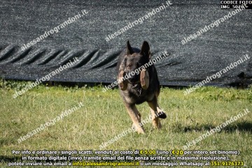IMG_5076.jpg